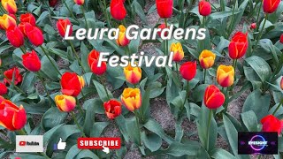 Leura Gardens Festival 2022 Blue Mountains NSW [upl. by Notlim]