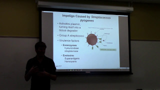 Review Session II  Final Exam  Microbiology  Part I [upl. by Latricia]