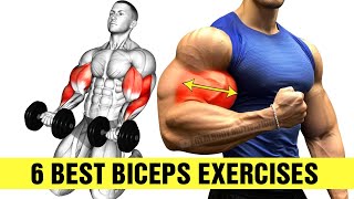 6 Best Biceps Exercises At Gym For Bigger Arms [upl. by Mori]