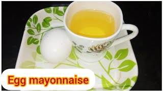 Homemade Mayonnaise Recipe  How To Make Mayonnaise Recipe In Mixer  Quick Mayonnaise Recipe [upl. by Nage]