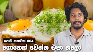 Vegetarians Vs Vegans  ඔයත් මේ වගේ අමුම අමු ගොනෙක්ද Sinhala [upl. by Yraeht]