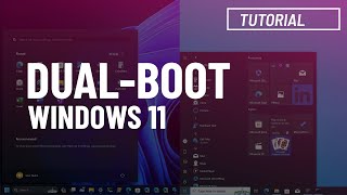 Dualboot Windows 10 and 11 Ultimate tutorial [upl. by Honora]