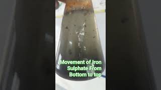 Displacement Reaction  Movement of Iron sulphate in conical flask displacmenReaction [upl. by Klenk827]