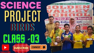 science project  Class 03 Golden valley school 🏫  project in birds environment video [upl. by Dorothy]