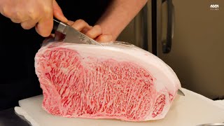 Rare Yamagata Wagyu A5  Teppanyaki in Japan [upl. by Ecirtaeb]