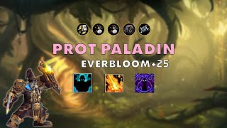 Everbloom 25 ⚔️ Prot Paladin 🔥 dragonflight 1025 S3 M [upl. by Joed]