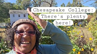 Chesapeake College We Have a Lot in The PEAKe of Excellence Ep 2 [upl. by Anthea]