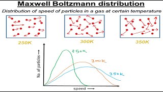 MaxwellBoltzmann distribution  Law of Equipartition of energy  Molecular dynamics simulations [upl. by Yrellih]