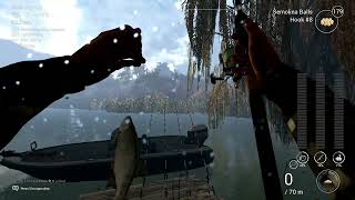 Fishing Planet  Emerald Lake  Common Shiner [upl. by Nomzzaj72]