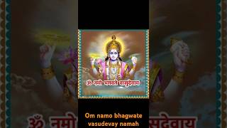 Om namo bhagwate vasudevay namahomnamobhagavatevasudevayadevuthaniekadashi vishnu laxminarayan [upl. by Nade]