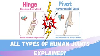 Kinesiology amp Biomechanics Joint Types Synarthrodial amp Diarthrodial Joints [upl. by Akialam689]