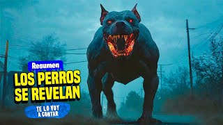 👇 LOS PERROS SE REVELAN CONTRA LA HUMANIDAD Y SE CONVIERTEN EN ZOMBIES  RESUMEN [upl. by Francis]