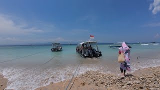 珀尼達潛旅 Penida Diving Tour [upl. by Ilyk]