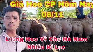 Thời Tiết Giao Mùa Heo Ho Nhiều Xử Lý Như Thế Nàonongtraihoakieu [upl. by Emiolhs]