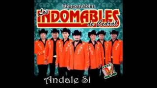 Los Indomables Del Cedral  Celos Injustos 2013 [upl. by Dihahs]