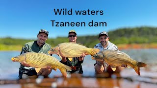 CARP FISHING TZANEEN DAM WITH MASSIVE DELKIM RUN AT THE END [upl. by Azeel]