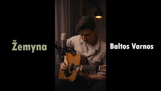 Žemyna  Baltos Varnos Kęstutis cover [upl. by Wennerholn]