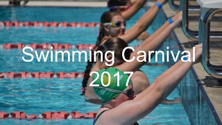 Swimming Carnival 2017 Highlights [upl. by Hillel615]