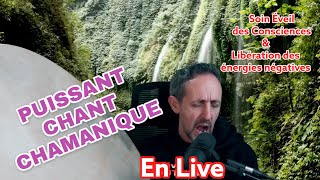 Musique chamanique très puissante 2 Transe sans Ayahuasca [upl. by Gassman]