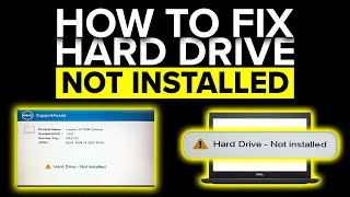 How To Fix Hard Drive Not Installed Error On Dell Latitude Laptop [upl. by Goth]