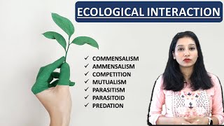 Ecological Interaction I Species Interaction I Organism amp Population Ecology Population Interaction [upl. by Iuq]