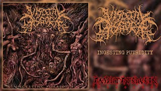 Visceral Disgorge  INGESTING PUTRIDITY Full Debut Album Brutal Death Metal [upl. by Hulbard]