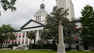 Over 30 new Florida laws take effect on Oct 1 Heres a roundup [upl. by Burnight]