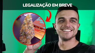 Legalização do cultivo de M4C0NH4 medicinal em breve [upl. by Anderea]