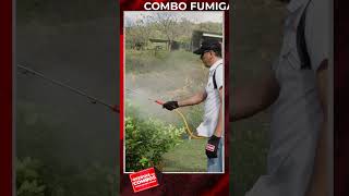 Combos Fumigadoras de Noviembre [upl. by Pich887]