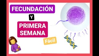 ✅FECUNDACIÓN 1ra SEMANA del DESARROLLO EMBRIONARIO Curso de EMBRIOLOGÍA Humana clase 3 🤰🏼👶🏼 [upl. by Aziram23]