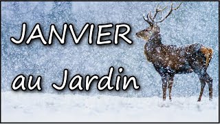 ❄️Janvier ❄️ Quoi faire au jardin potager en permaculture [upl. by Elleirbag]