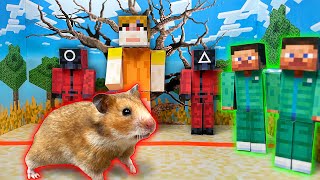 Hamster Escaped the Maze Squid Game Minecraft [upl. by Ardnuhsor]