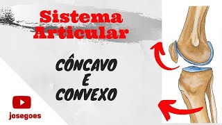 Sistema Articular  Côncavo e Convexo [upl. by Araihc970]