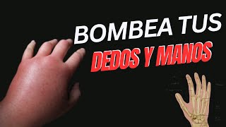 BOMBEA la inflamación de tus dedos y manos [upl. by Atter]