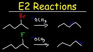 E2 Reaction Mechanism  Hoffman Elimination vs Zaitsevs Rule [upl. by Anahsak]