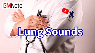 Lung Sounds Breath Sounds [upl. by Mendez]