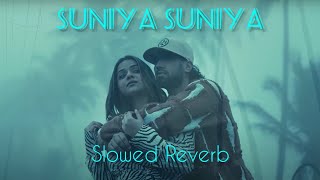 SUNIYA SUNIYA Slowed amp Reverb Mix Singh New Punjabi Song [upl. by Jimmy807]