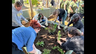 A Blooming Partnership Building Pollinator Gardens with United Supermarkets and One Tree Planted [upl. by Zeus]