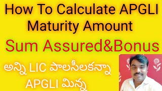 How To Calculate APGLI Sum Assured Bonus Maturity ValueAPGLI CalitaterAPGLI మెచురిటీవిలువ తెలుసుకో [upl. by Hittel]