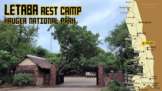 Kruger National Park Letaba Rest Camp [upl. by Strawn]