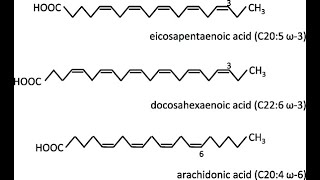 structures of Polyunsaturated Fatty acid Linoleic Alphalinolenic Eicosapentaenoic Docosahexaenoic [upl. by Ressler]