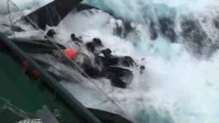 Sea Shepherd vessel Ady Gil collides with the Japanese whaler Shonan Maru II [upl. by Nraa]