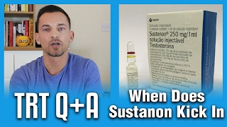 How Long Does Sustanon Take To Kick In TRT QA [upl. by Eelime727]