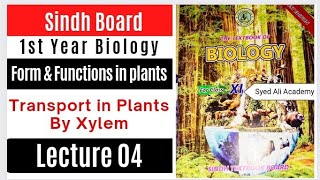 transport in plant  xylem  vessels  tracheids  forms and functions in plants [upl. by Ramor]