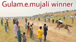 Gulamemujali wins the race at nora mandiala race mela [upl. by Kelsey527]