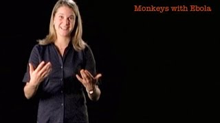 Eva Vertes Monkeys with Ebola [upl. by Darrin530]