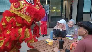 2024 Pre CNY  Kwong Ngai Traditional Lion Dance DC Mall Damansara Heights [upl. by Aihsit]