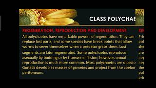 Phylum Annelida  Class Polychaeta  Class Errantia  Regeneration Reproduction and Development [upl. by Fidelas886]