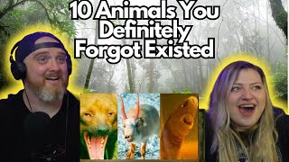 10 Animals You Definitely Forgot Existed mndiaye97  HatGuy amp gnarlynikki [upl. by Renfred]