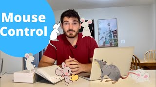 How To Get Rid of Mice  EVERYTHING You NEED to Know [upl. by Gough]